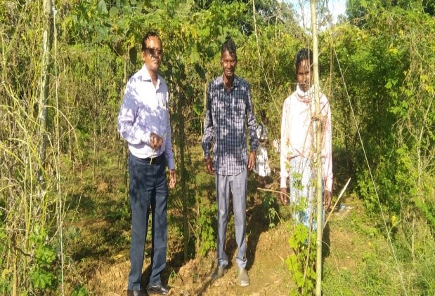Monu Farming