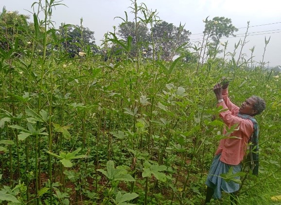 Organic Farming